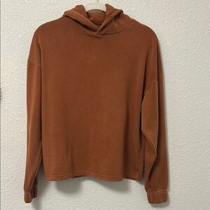 Men's Rust Hoodie Sweater
